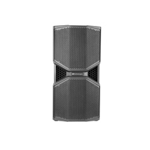 Quasi 3 way active speaker. 2 x 10" Neo woofers, 1050W RMS, max SPL 132.5 dB. Asymmetrical CD horn