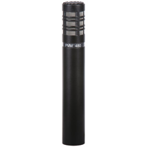 Condenser super-cardioid microphone. Includes case and windsock