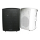 inDESIGN 30W powered/passive pair of speakers, 5.25 woofer, 0.5  tweeter, 1